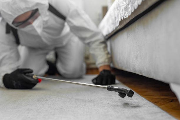 Professional Bed Bug Control technician working in West Tawakoni, TX